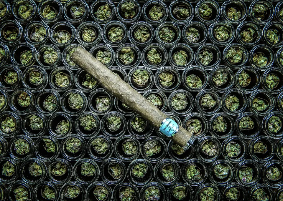 A joint resting on rows of flower jars