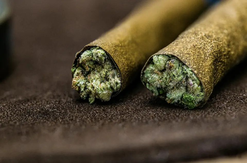 Close-up of two hemp-wrapped blunts